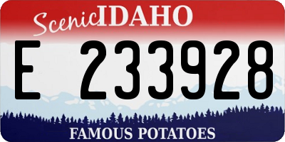 ID license plate E233928