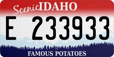 ID license plate E233933
