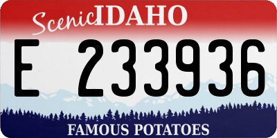ID license plate E233936
