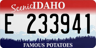 ID license plate E233941