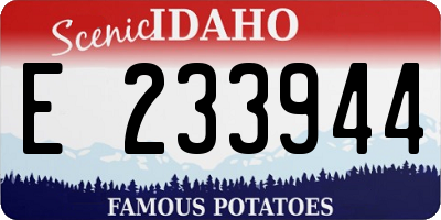 ID license plate E233944