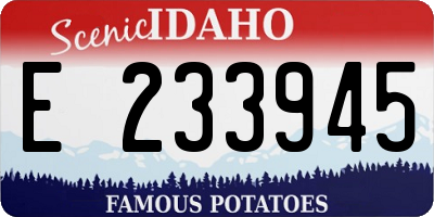 ID license plate E233945