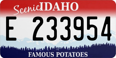 ID license plate E233954