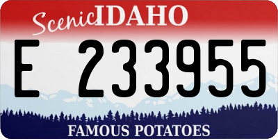 ID license plate E233955