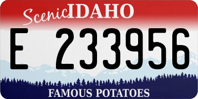 ID license plate E233956