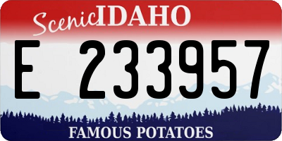 ID license plate E233957