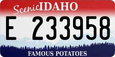 ID license plate E233958