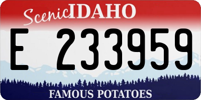 ID license plate E233959