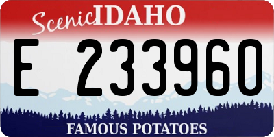ID license plate E233960