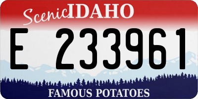 ID license plate E233961
