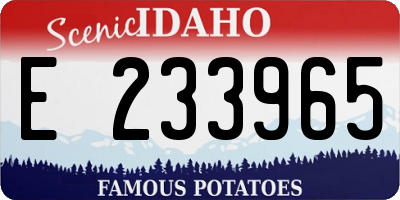 ID license plate E233965