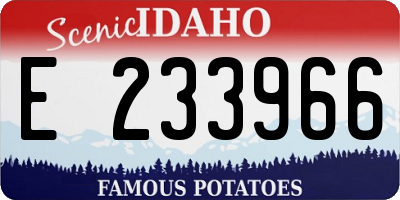 ID license plate E233966