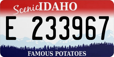 ID license plate E233967
