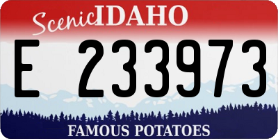 ID license plate E233973