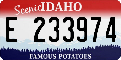 ID license plate E233974