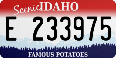 ID license plate E233975