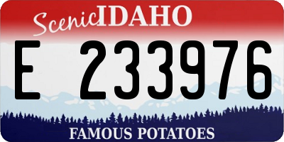 ID license plate E233976