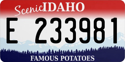 ID license plate E233981