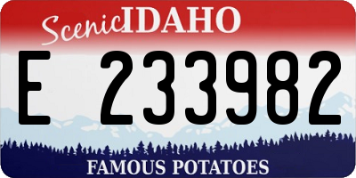 ID license plate E233982