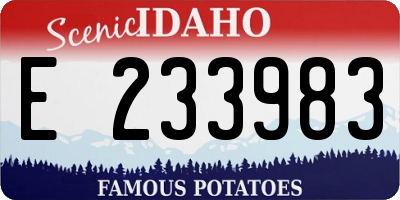 ID license plate E233983