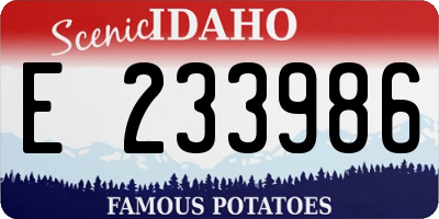 ID license plate E233986