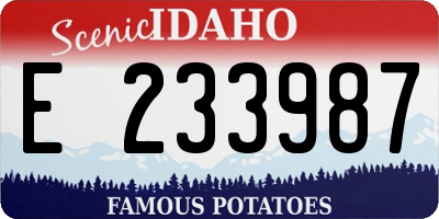 ID license plate E233987