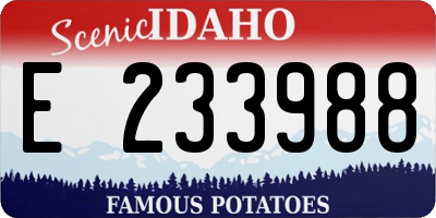 ID license plate E233988