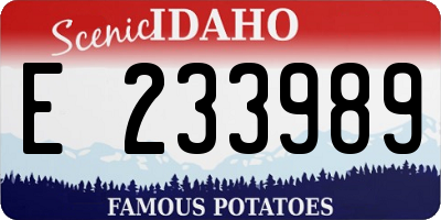 ID license plate E233989