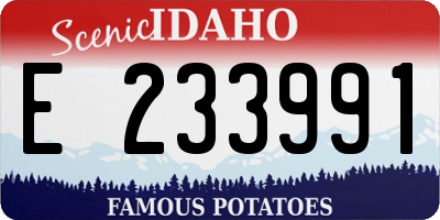 ID license plate E233991