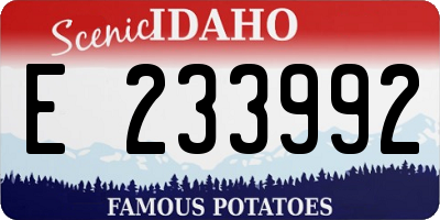 ID license plate E233992