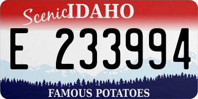 ID license plate E233994