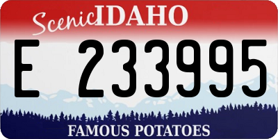ID license plate E233995