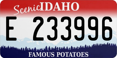 ID license plate E233996