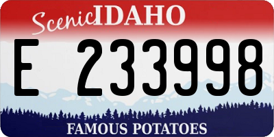 ID license plate E233998