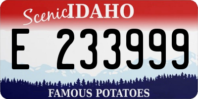 ID license plate E233999