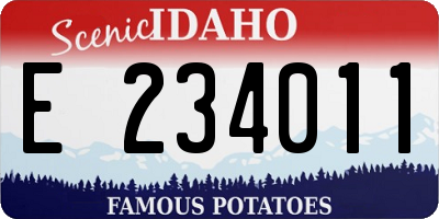ID license plate E234011