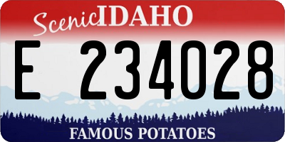 ID license plate E234028