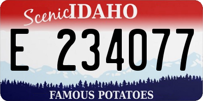 ID license plate E234077