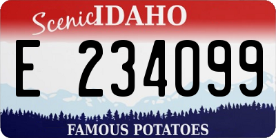 ID license plate E234099