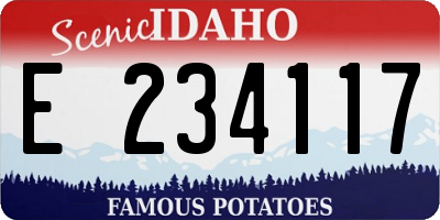 ID license plate E234117