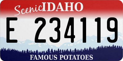 ID license plate E234119