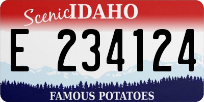 ID license plate E234124