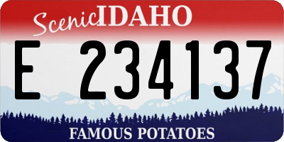 ID license plate E234137