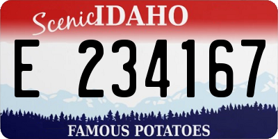 ID license plate E234167