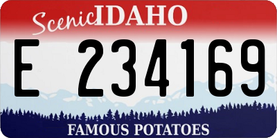 ID license plate E234169