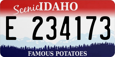 ID license plate E234173