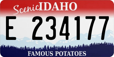 ID license plate E234177