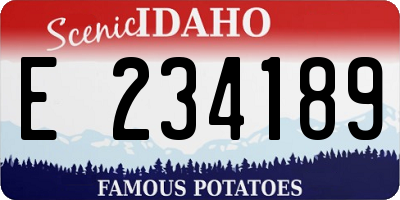 ID license plate E234189
