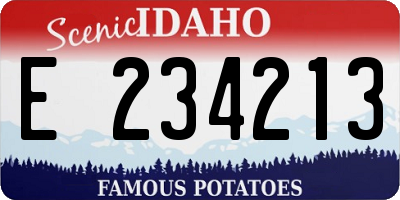 ID license plate E234213