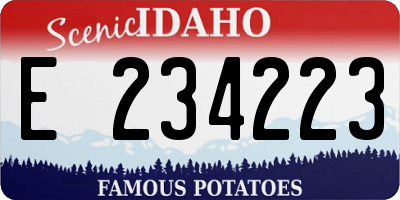 ID license plate E234223